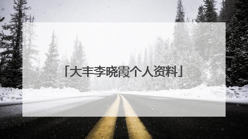 大丰李晓霞个人资料