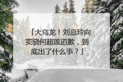 大乌龙!刘嘉玲向窦骁何超莲道歉,到底出了什么事?