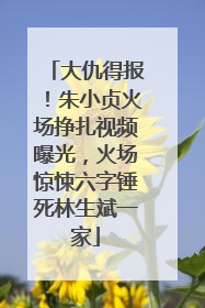 大仇得报!朱小贞火场挣扎视频曝光,火场惊悚六字锤死林生斌一家