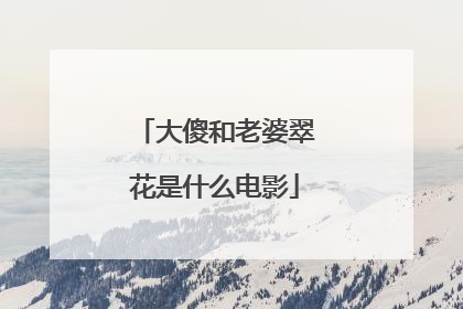 大傻和老婆翠花是什么电影