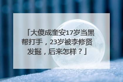 大傻成奎安17岁当黑帮打手,23岁被李修贤发掘,后来怎样?