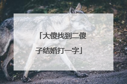 大傻找到二傻子结婚打一字