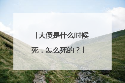 大傻是什么时候死，怎么死的？
