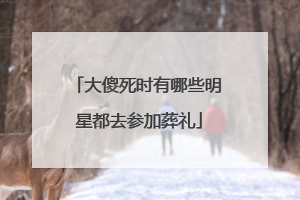 大傻死时有哪些明星都去参加葬礼