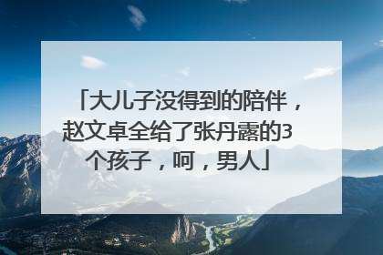 大儿子没得到的陪伴,赵文卓全给了张丹露的3个孩子,呵,男人