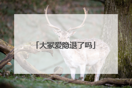 大冢爱隐退了吗