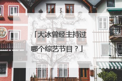 大冰曾经主持过哪个综艺节目?