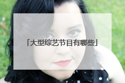 大型综艺节目有哪些