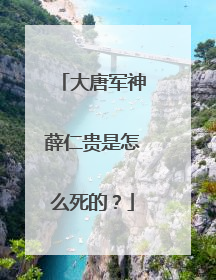 大唐军神薛仁贵是怎么死的?