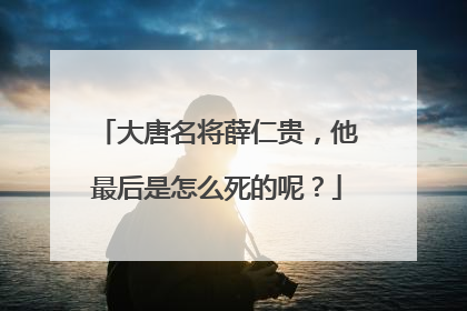 大唐名将薛仁贵,他最后是怎么死的呢?