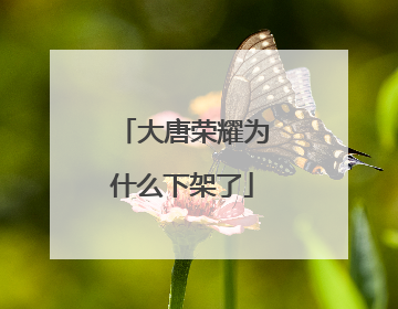 大唐荣耀为什么下架了