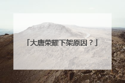 大唐荣耀下架原因？