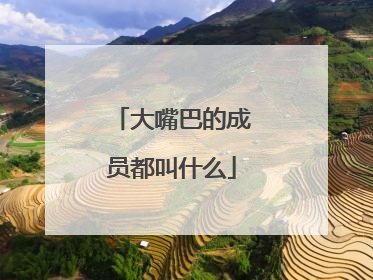 大嘴巴的成员都叫什么