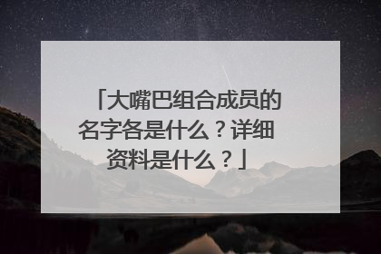 大嘴巴组合成员的名字各是什么?详细资料是什么?