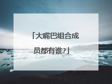 大嘴巴组合成员都有谁?