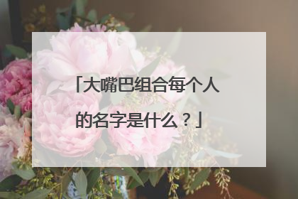 大嘴巴组合每个人的名字是什么?