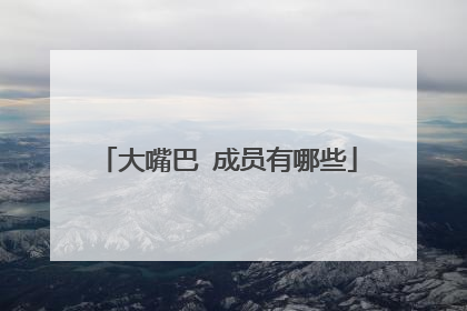 大嘴巴 成员有哪些