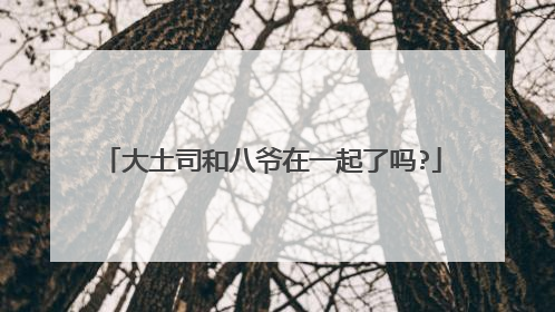 大土司和八爷在一起了吗?