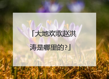 大地欢歌赵洪涛是哪里的?
