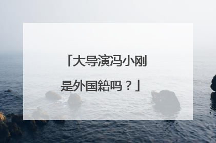 大导演冯小刚是外国籍吗?