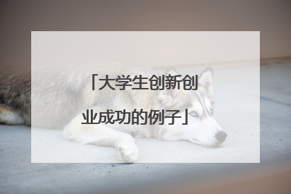 大学生创新创业成功的例子