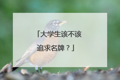 大学生该不该追求名牌？