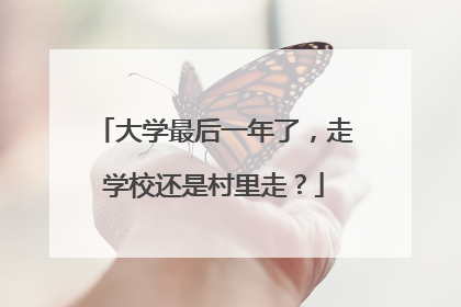 大学最后一年了，走学校还是村里走？