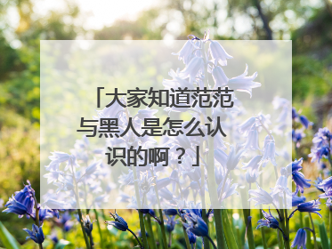 大家知道范范与黑人是怎么认识的啊?