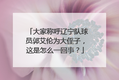 大家称呼辽宁队球员郭艾伦为大侄子，这是怎么一回事？