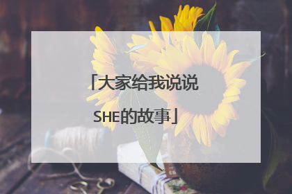 大家给我说说SHE的故事