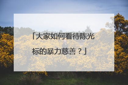 大家如何看待陈光标的暴力慈善？