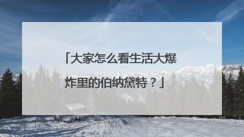 大家怎么看生活大爆炸里的伯纳黛特？