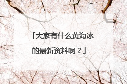 大家有什么黄海冰的最新资料啊?