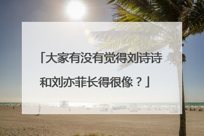 大家有没有觉得刘诗诗和刘亦菲长得很像?