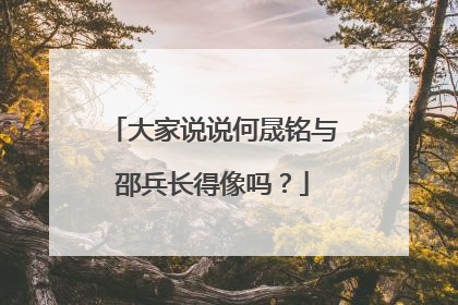 大家说说何晟铭与邵兵长得像吗?