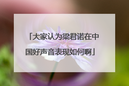 大家认为梁君诺在中国好声音表现如何啊