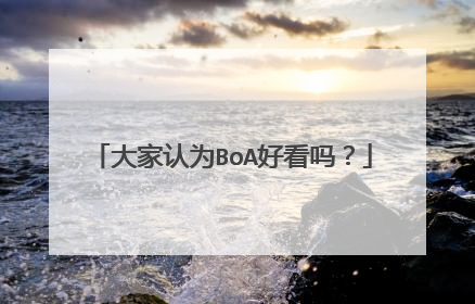 大家认为BoA好看吗？