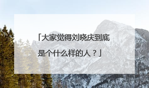 大家觉得刘晓庆到底是个什么样的人？