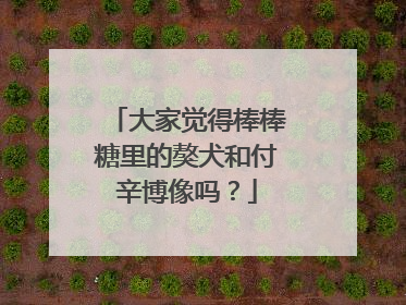 大家觉得棒棒糖里的獒犬和付辛博像吗？