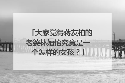 大家觉得蒋友柏的老婆林姮怡究竟是一个怎样的女孩？