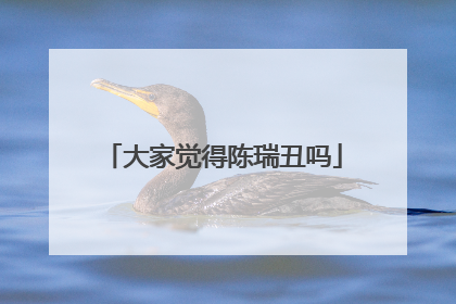 大家觉得陈瑞丑吗