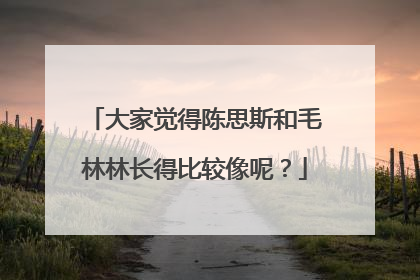 大家觉得陈思斯和毛林林长得比较像呢？