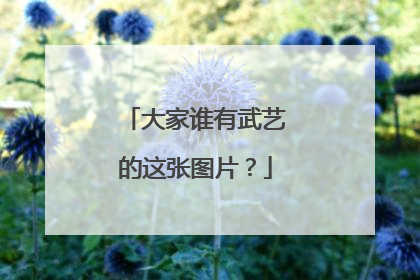 大家谁有武艺的这张图片？