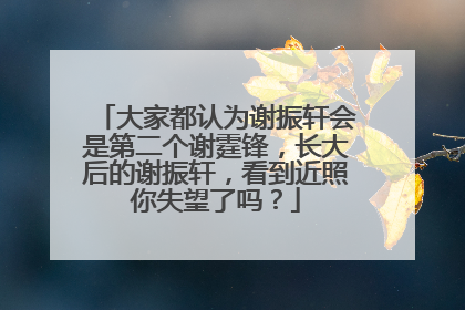 大家都认为谢振轩会是第二个谢霆锋，长大后的谢振轩，看到近照你失望了吗？