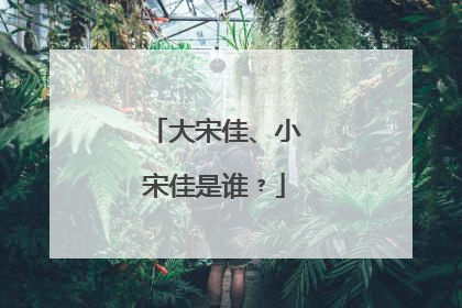 大宋佳、小宋佳是谁﹖