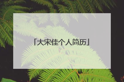 大宋佳个人简历