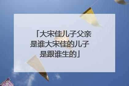 大宋佳儿子父亲是谁大宋佳的儿子是跟谁生的
