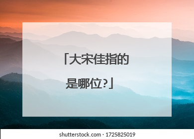 大宋佳指的是哪位?