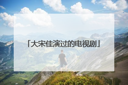 大宋佳演过的电视剧