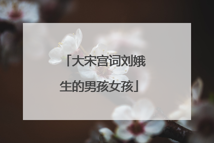 大宋宫词刘娥生的男孩女孩